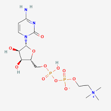 Representative citicoline structure associated with citicoline supplements and CDP-choline use