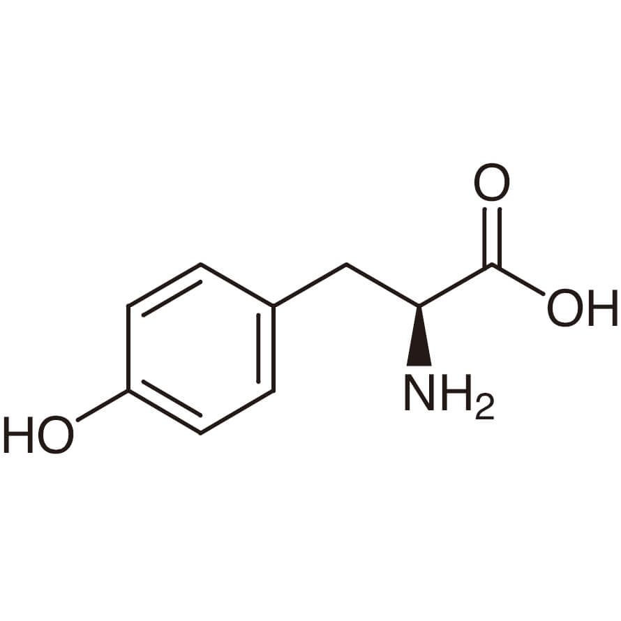L-Tyrosine amino acid structure